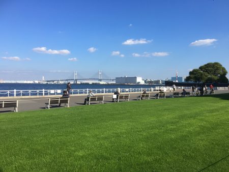 横浜の海と公園